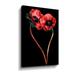 Latitude Run® Flower Couple By Cora Niele Gallery Canvas, Glass in Black/Red | 12 H x 8 W x 2 D in | Wayfair 421DA8A206024530BEB625522C663025