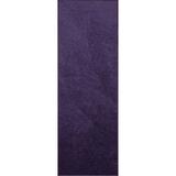 480 x 24 x 0.4 in Area Rug - Latitude Run® kids Solid Color Custom Size Runner Area Rugs Purple Polyester | 480 H x 24 W x 0.4 D in | Wayfair