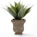 Primrue 7.4" Artificial Succulent Plant in Pot Ceramic/Plastic | 11.4 H x 13.8 W x 13.8 D in | Wayfair F99EB0ACDF1E446C8A70EA4C7D66177D