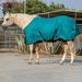 Kensington Signature Collection 1200D Turnout Blanket - 78 - Medium (180g) - Harbor - Smartpak