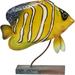 Rosecliff Heights Anjo Royal Angelfish Metal in Brown/Green/White | 8 H x 8 W x 3 D in | Wayfair F11F150DBD7A4AAC911F79DFD5030686