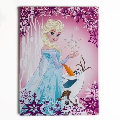 Disney - Die Eiskönigin - Leinwandbild Elsa & Olaf - 70x5cm