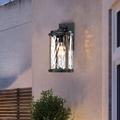 Longshore Tides 1-Light 13.9"H Matte Black & Barnwood Accents Outdoor Wall Lantern Glass/Metal/Steel in Black/Gray | Wayfair
