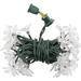 Arlmont & Co. Brilliant 25 Count Silver Glitter Floral Cap Warm White Led Bulb w/ End To End Connector in Green | 3 H x 13.3 W in | Wayfair