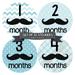 Months in Motion 160 Monthly Baby Stickers Baby Boy 12 Month Milestone Mustache