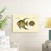 Rosecliff Heights Bloch Antique Fish VI Canvas in White | 24 H x 36 W x 1.25 D in | Wayfair 3C799F0C88B54F94B262AEEA1BB9008F