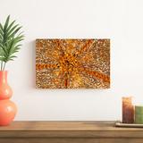 Rosecliff Heights Orange Star N. Sulawesi, Indonesia by Beverly Factor - Wrapped Canvas Photograph Canvas | 8 H x 12 W x 1.25 D in | Wayfair