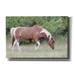 August Grove® Assateague Horse by Lori Deiter - Wrapped Canvas Photograph Canvas, Solid Wood in Green | 12 H x 18 W x 0.75 D in | Wayfair