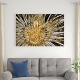 Red Barrel Studio® Pure Dazzle N. Sulawesi, Indonesia by Beverly Factor - Wrapped Canvas Photograph Metal | 32 H x 48 W in | Wayfair