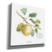 Red Barrel Studio® 'My Greenhouse Fruit IV' By Lisa Audit, Canvas Wall Art Canvas, Solid Wood in Yellow | 12 H x 12 W x 0.75 D in | Wayfair