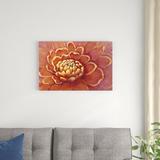 Red Barrel Studio® Micro Floral II by Timothy O' Toole - Wrapped Canvas Painting Canvas | 20 H x 30 W x 1.25 D in | Wayfair