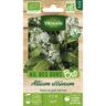 Vilmorin - Ail des Ours - bio