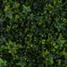 3rd Street Inn Artificial Hedge - Outdoor Artificial Plant - Great Boxwood & Ivy Substitute | 2 H x 20 W x 20 D in | Wayfair GPEG-100-2