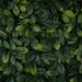 3rd Street Inn Artificial Hedge - Outdoor Artificial Plant - Great Boxwood & Ivy Substitute | 2 H x 20 W x 20 D in | Wayfair GPL-100-12