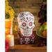 The Holiday Aisle® Bohnert Sugar Skull Resin Garden Statue in Black/Blue/Green | 10.25 H x 6 W x 5.25 D in | Wayfair 84969SK