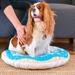 Tucker Murphy Pet™ Albatol 3D Realistic Donut Print Pets Pillow Bed Polyester in Blue/White | 5 H x 25 W x 25 D in | Wayfair