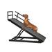 Tucker Murphy Pet™ Almeric Folding en Pet Ramp for Dogs & Cats, Dog Ramp for High Beds, Non-Slip Carpet Surface in Gray/Black | Wayfair