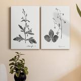 Rosalind Wheeler Botanical Imprint III Premium Gallery Wrapped Canvas - Ready To Hang Canvas, in Black/White | 27 H x 16 W x 1 D in | Wayfair