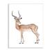 Stupell Industries Impala Antelope Watercolor Children's Wild Animal by Fox Hollow Studios - Painting Wood in Brown | 19 H x 13 W x 0.5 D in | Wayfair