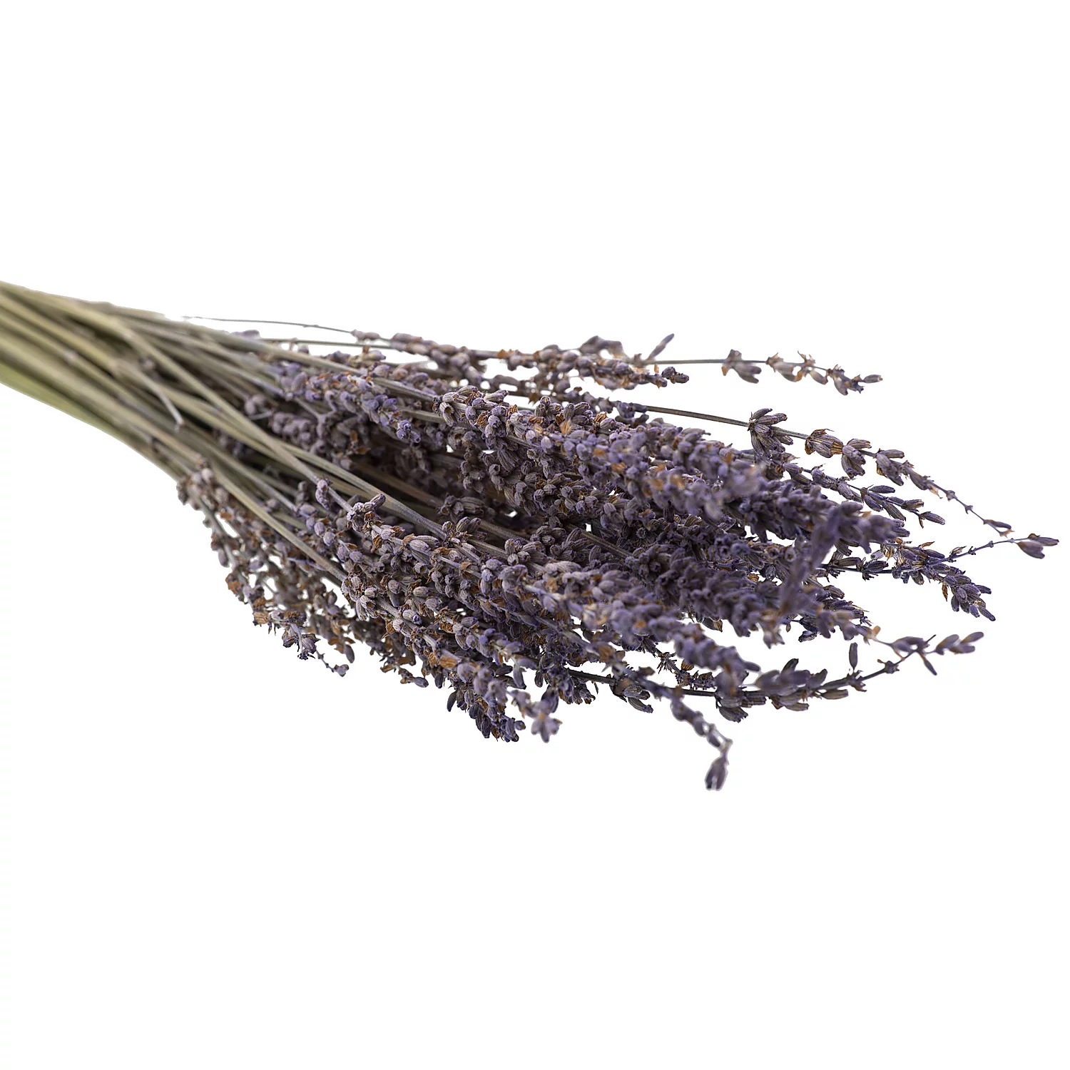 Lavande véritable, naturelle