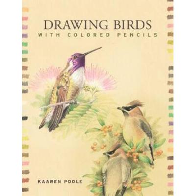 Drawing Birds With Colored Pencils