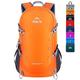 Venture Pal 40L Lightweight Packable Travel Hiking Backpack Daypack