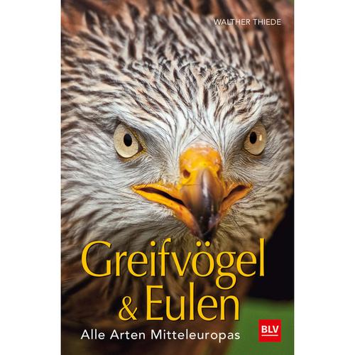 Greifvögel & Eulen - Walther Thiede, Kartoniert (TB)
