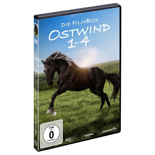 Ostwind 1-4 Box (DVD)
