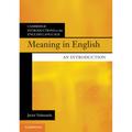 Cambridge Introductions To The English Language / Meaning In English - Javier Valenzuela, Kartoniert (TB)