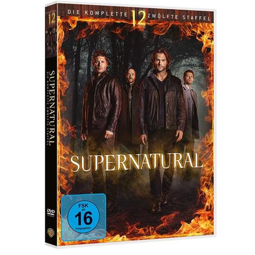 Supernatural - Staffel 12 (DVD)