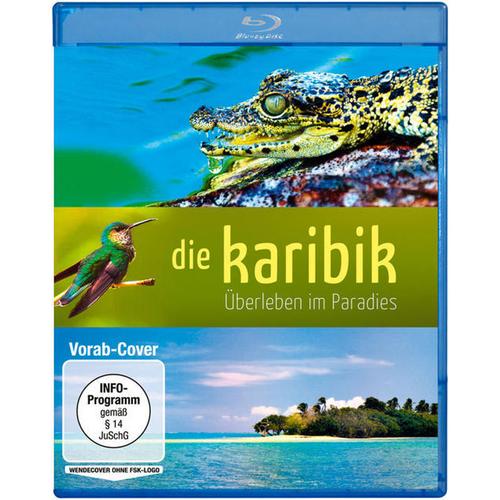 Die Karibik - Überleben Im Paradies (Blu-ray)