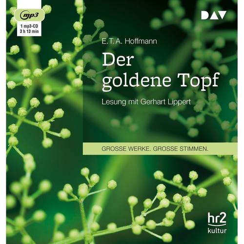 Der goldene Topf, 1 Audio-CD, 1 MP3 - E. T. A. Hoffmann (Hörbuch)