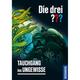 Die Drei Fragezeichen / Die Drei ??? Tauchgang Ins Ungewisse - Kari Erlhoff, Gebunden