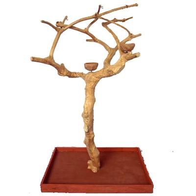 A&E Cage Company Small Java Wood Boxed Tree, 40" L X 32" W X 61" H