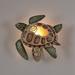 The Seashell Company Turtle Capiz Shell LED Night Light Shell, Metal in Blue/Brown/Green | 5 H x 5 W x 2 D in | Wayfair 750702-1