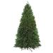 Northlight Seasonal 9' Pre-Lit Rockwood Pine Artificial Christmas Tree Multi Lights in Green | 108 H x 66 W in | Wayfair NORTHLIGHT SM92985