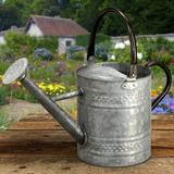 Hattie Antique Watering Can Metal Laurel Foundry Modern Farmhouse® | 8 H x 6 W x 16 D in | Wayfair 3A78F6DCA391434A88352837CE610D32