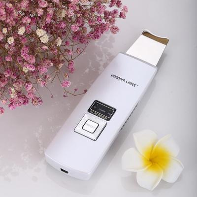 Panther Ultrasonic Facial Massager by Prospera in ...