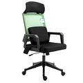 Cherry Tree Furniture Beni Plus Mesh Fabric Swivel Office Chair with Vibrating Massage Lumbar Cushion (Green)