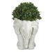 16" Boxwood Topiary Artificial Plant in Planter UV Resistant