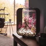 biOrb Life 15 4 Gallon Rectangle Aquarium Tank w/ Standard Light Acrylic (shatterproof w/ great clarity) in Black | Wayfair 72048