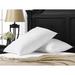 Rebrilliant Lages Down Alternative Pillow Down Alternative/Cotton Blend in White | 20 H x 36 W in | Wayfair D52E6532EB7C4895A56A06A493218663