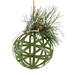 Northlight Seasonal 5" Rattan Style Christmas Ball Ornament w/ Pine Cone Metal in Green | 5 H x 4 W x 4 D in | Wayfair NORTHLIGHT TR92619