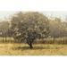 Loon Peak® Golden Trees I Taupe Canvas, Wood | 8 H x 12 W x 1.25 D in | Wayfair 723FD25545824B4280957CA94C05F950