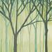 Loon Peak® Spring Trees III Canvas, Wood in Green | 30 H x 30 W x 1.25 D in | Wayfair C4BA4721AF8E465EA39935F96D773090