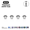 G23 – boucles d'oreilles en titane CZ en Zircon ensemble de cinq perles Labret trou d'oreille