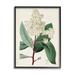 Rosalind Wheeler Vintage Garden Study Red Stem Floral Plant Canvas in Brown/Green | 20 H x 16 W x 1.5 D in | Wayfair