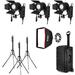 Fiilex P3 Color K300 3-Light Kit with Stands, Barndoors, Softbox, and Case FLXP3CLR-K300-KIT