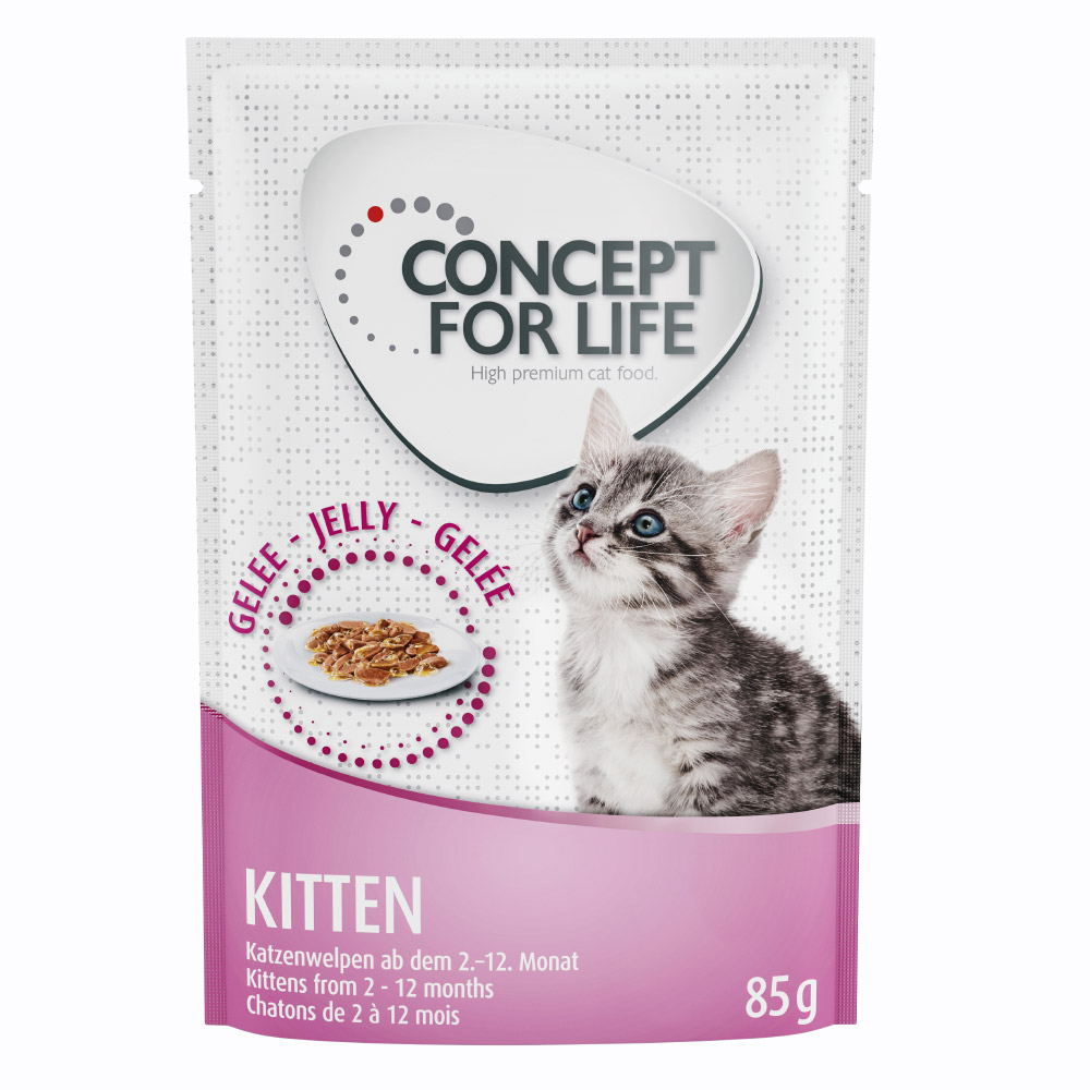 Concept for Life Kitten - ricetta migliorata! - umido a completamento: 12 x 85 g Concept for Life Kitten in Gelatina