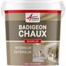 Badigeon à la chaux décoration intérieure extérieur maison badiplus - 2.5 kg (jusqu'à 12.5 m²)